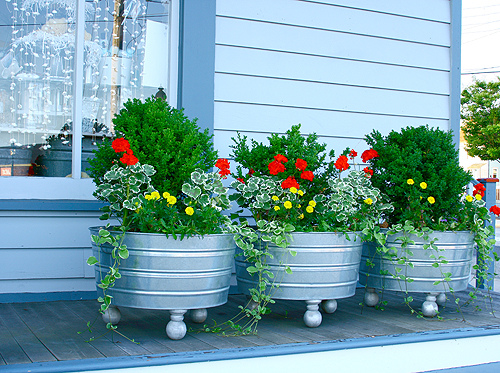 galvanized tub planter