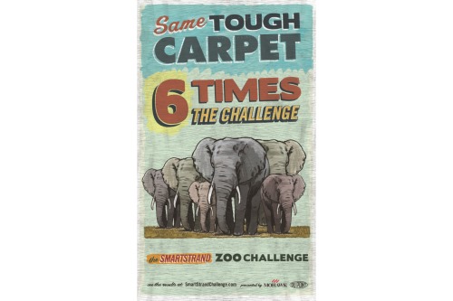 smartstrand-zoo-challenge-poster