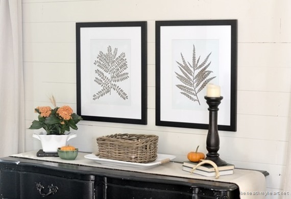 fern framed prints from birch lane