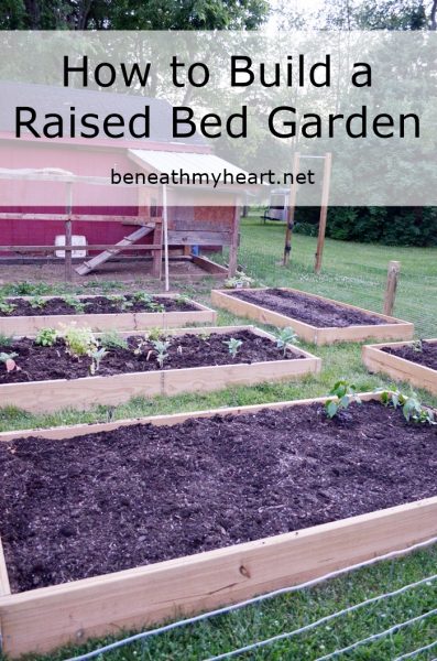 How to Build a Raised Bed Garden