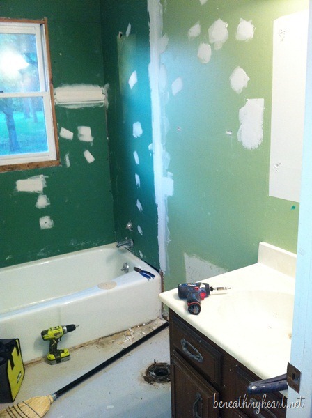 Gutting our Guest Bathroom