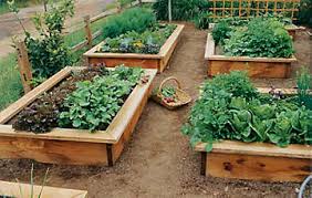 Building a Raised Garden Bed