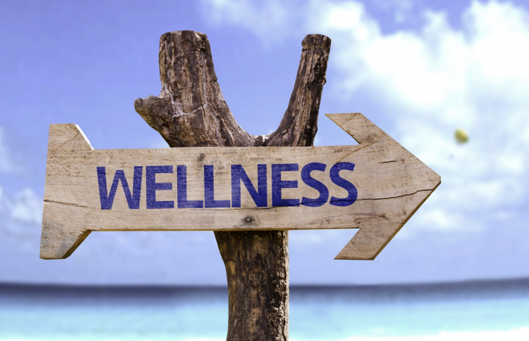 My Journey to Wellness – Part 2