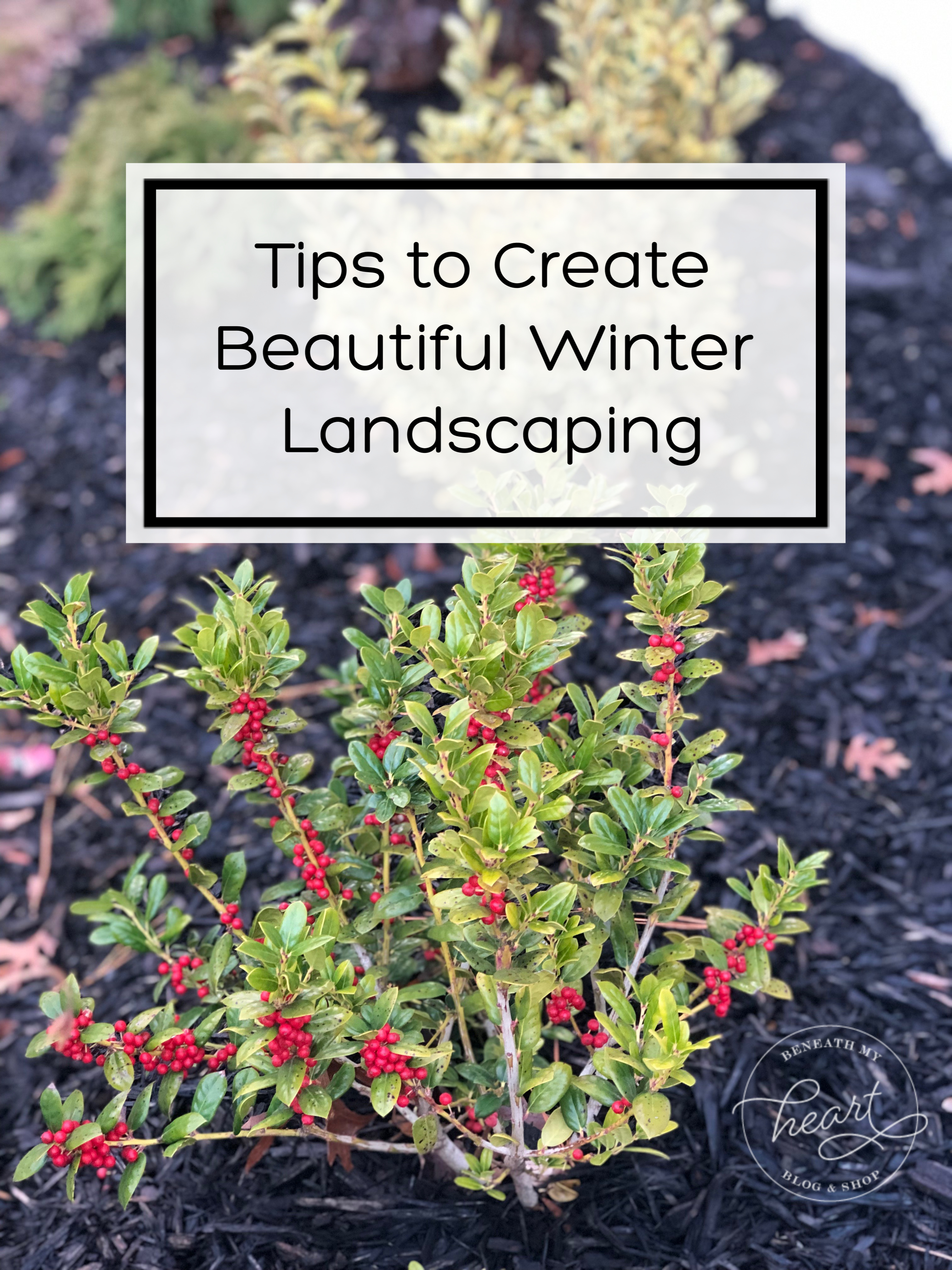 Tips to Create Beautiful Winter Landscaping