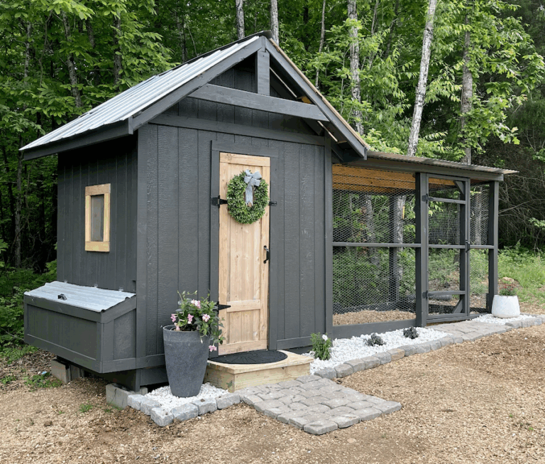 Dreaming of Spring: Our Chicken Coop Plans for Backyard Chickens